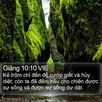 Giăng 10:10 VIE Bible Verse Image