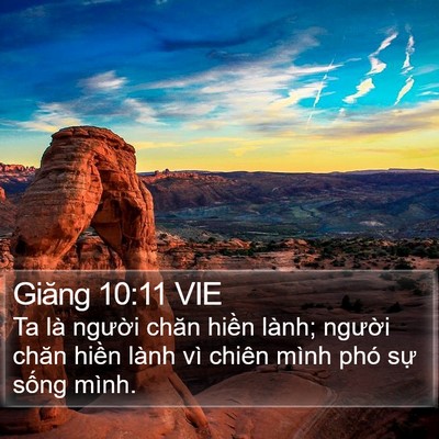 Giăng 10:11 VIE Bible Verse Image