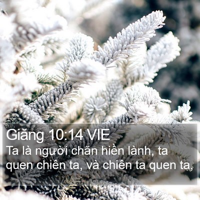Giăng 10:14 VIE Bible Verse Image