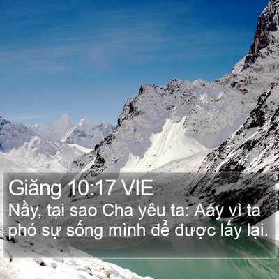 Giăng 10:17 VIE Bible Verse Image