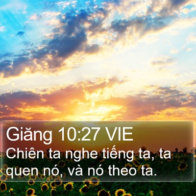 Giăng 10:27 VIE Bible Verse Image