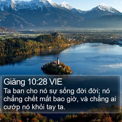 Giăng 10:28 VIE Bible Verse Image