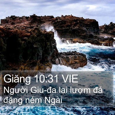Giăng 10:31 VIE Bible Verse Image