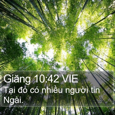 Giăng 10:42 VIE Bible Verse Image