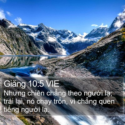 Giăng 10:5 VIE Bible Verse Image
