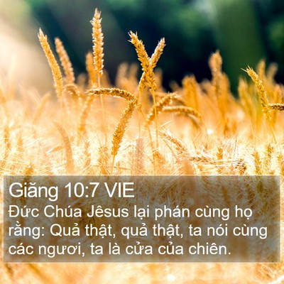 Giăng 10:7 VIE Bible Verse Image