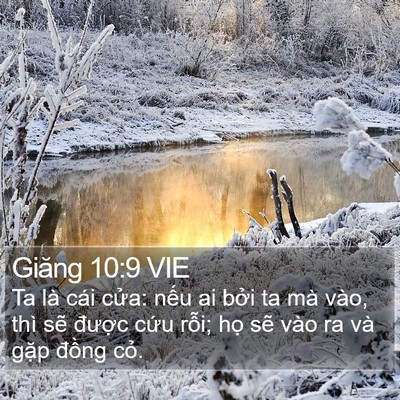Giăng 10:9 VIE Bible Verse Image