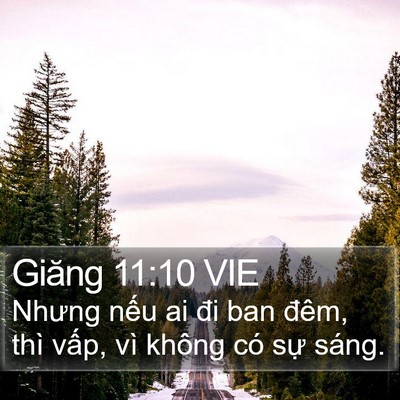 Giăng 11:10 VIE Bible Verse Image