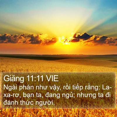 Giăng 11:11 VIE Bible Verse Image