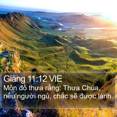 Giăng 11:12 VIE Bible Verse Image