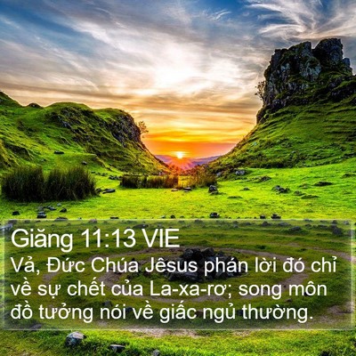 Giăng 11:13 VIE Bible Verse Image