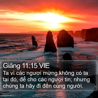 Giăng 11:15 VIE Bible Verse Image