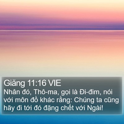 Giăng 11:16 VIE Bible Verse Image