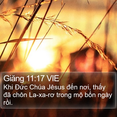 Giăng 11:17 VIE Bible Verse Image