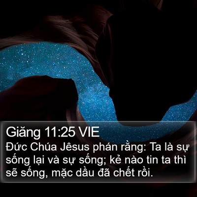 Giăng 11:25 VIE Bible Verse Image