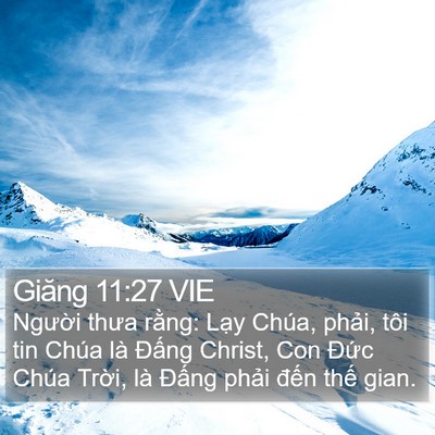 Giăng 11:27 VIE Bible Verse Image