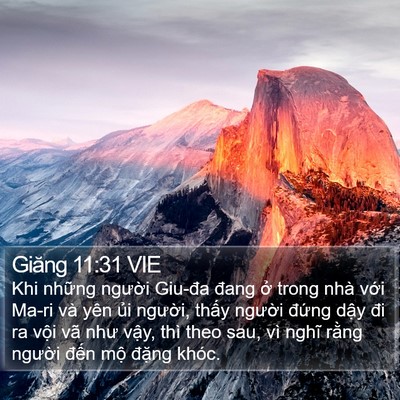 Giăng 11:31 VIE Bible Verse Image