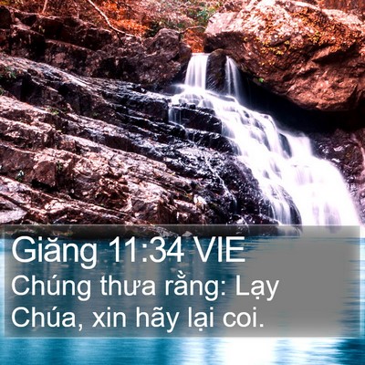 Giăng 11:34 VIE Bible Verse Image