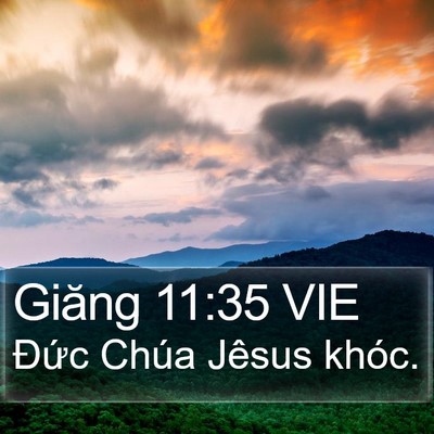 Giăng 11:35 VIE Bible Verse Image