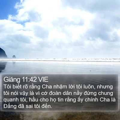 Giăng 11:42 VIE Bible Verse Image