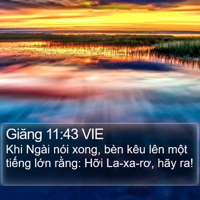 Giăng 11:43 VIE Bible Verse Image