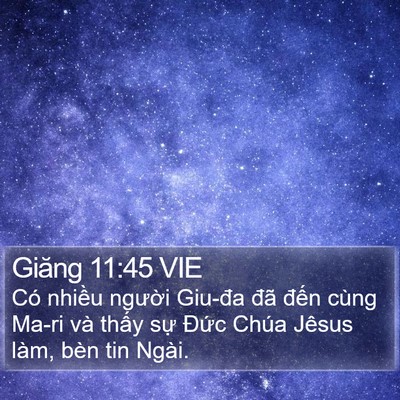 Giăng 11:45 VIE Bible Verse Image