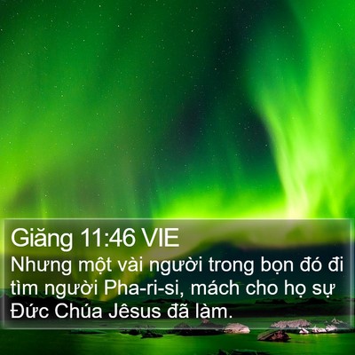 Giăng 11:46 VIE Bible Verse Image