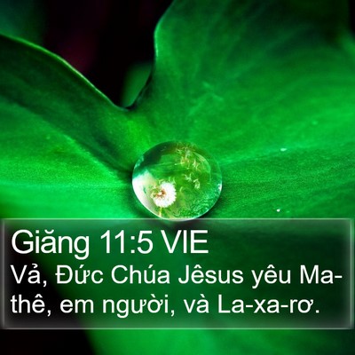 Giăng 11:5 VIE Bible Verse Image