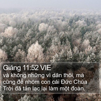 Giăng 11:52 VIE Bible Verse Image