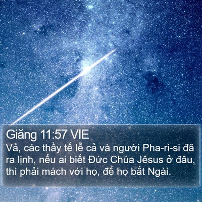 Giăng 11:57 VIE Bible Verse Image