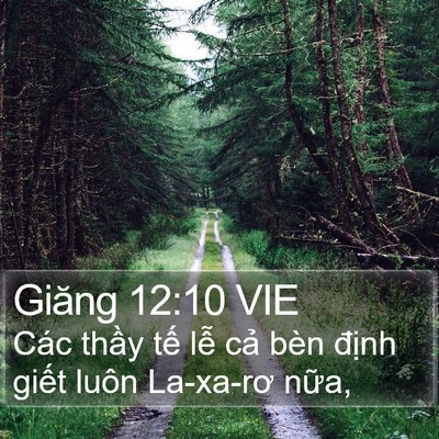 Giăng 12:10 VIE Bible Verse Image