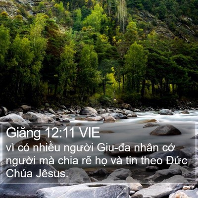 Giăng 12:11 VIE Bible Verse Image