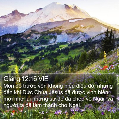 Giăng 12:16 VIE Bible Verse Image