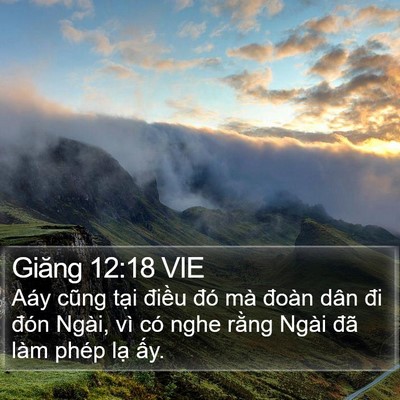 Giăng 12:18 VIE Bible Verse Image