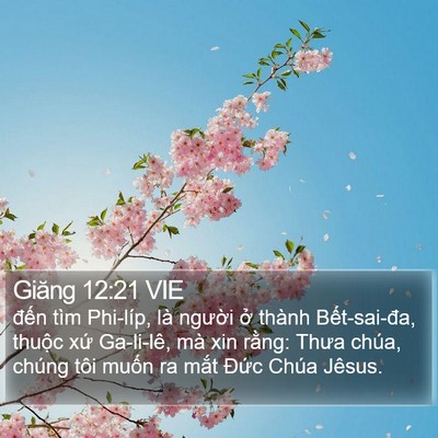 Giăng 12:21 VIE Bible Verse Image