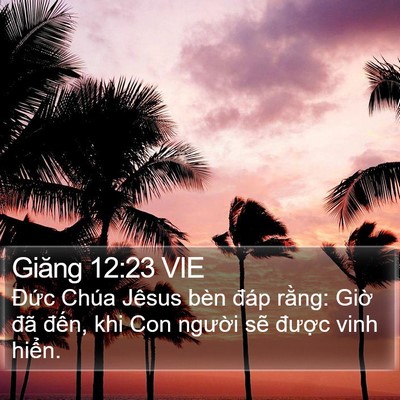 Giăng 12:23 VIE Bible Verse Image