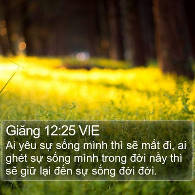 Giăng 12:25 VIE Bible Verse Image
