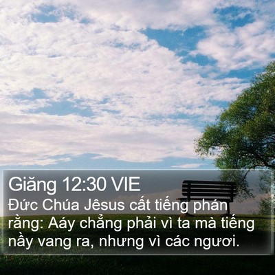 Giăng 12:30 VIE Bible Verse Image