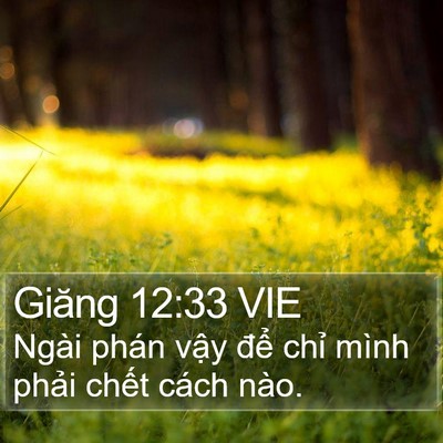 Giăng 12:33 VIE Bible Verse Image