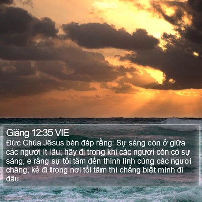 Giăng 12:35 VIE Bible Verse Image