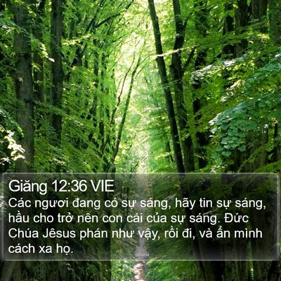 Giăng 12:36 VIE Bible Verse Image