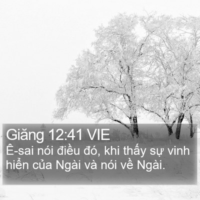 Giăng 12:41 VIE Bible Verse Image