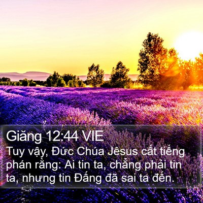 Giăng 12:44 VIE Bible Verse Image