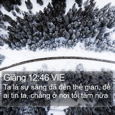 Giăng 12:46 VIE Bible Verse Image