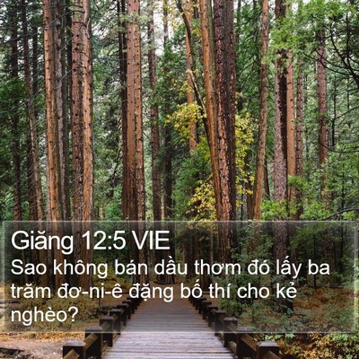 Giăng 12:5 VIE Bible Verse Image