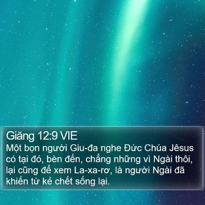 Giăng 12:9 VIE Bible Verse Image