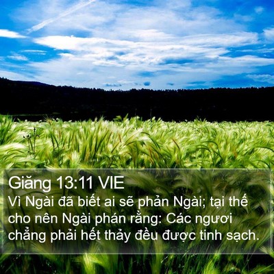 Giăng 13:11 VIE Bible Verse Image