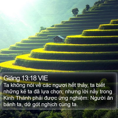 Giăng 13:18 VIE Bible Verse Image
