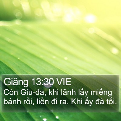 Giăng 13:30 VIE Bible Verse Image