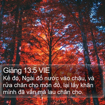 Giăng 13:5 VIE Bible Verse Image